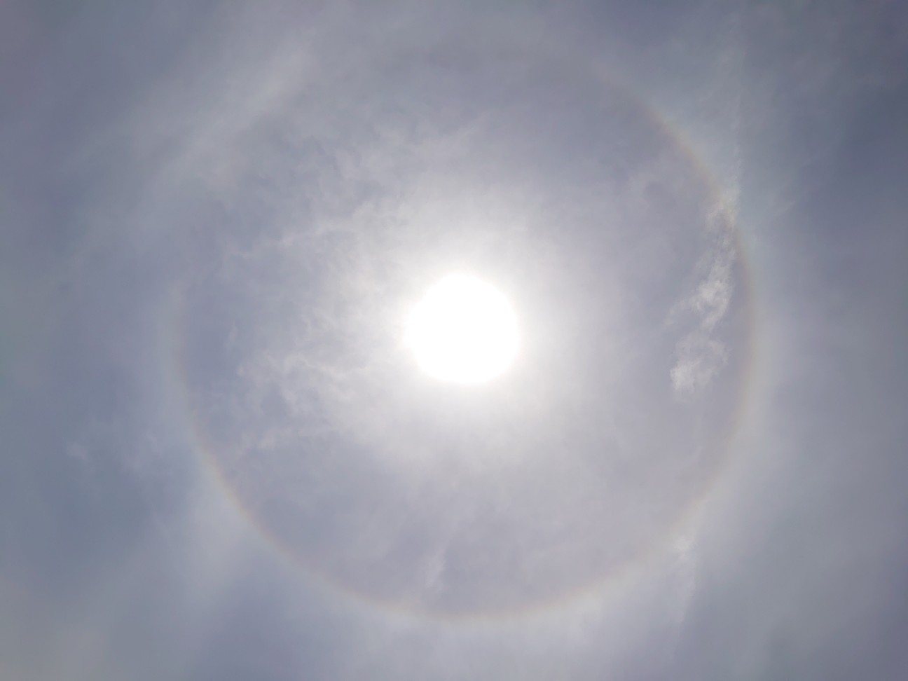 f:id:a-tnk0806:20210623074222j:image