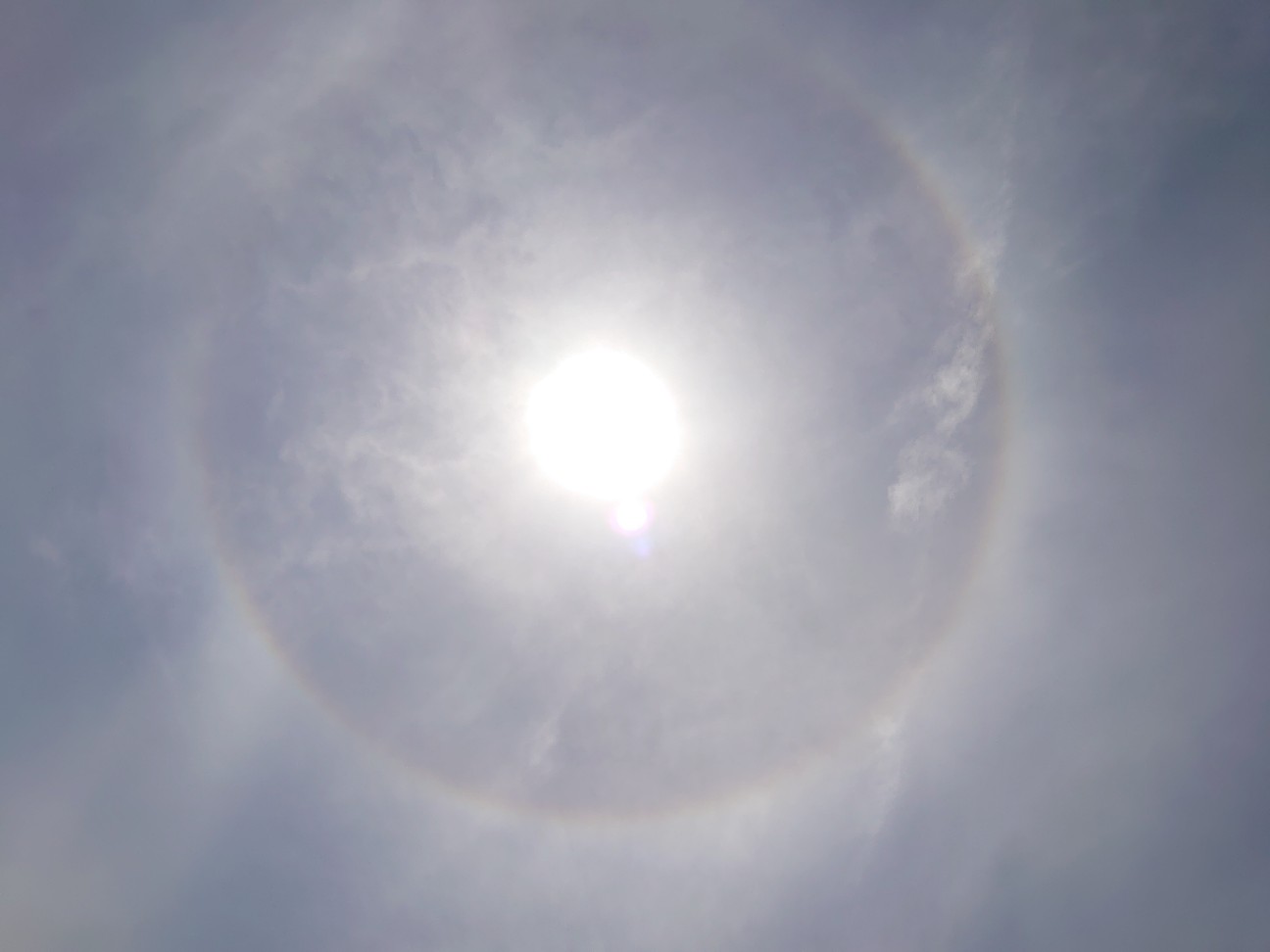 f:id:a-tnk0806:20210623074238j:image
