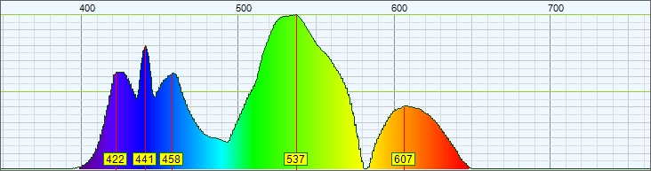 f:id:a-tomi:20190622110148j:plain f:id:a-tomi:20190622110148j:plain