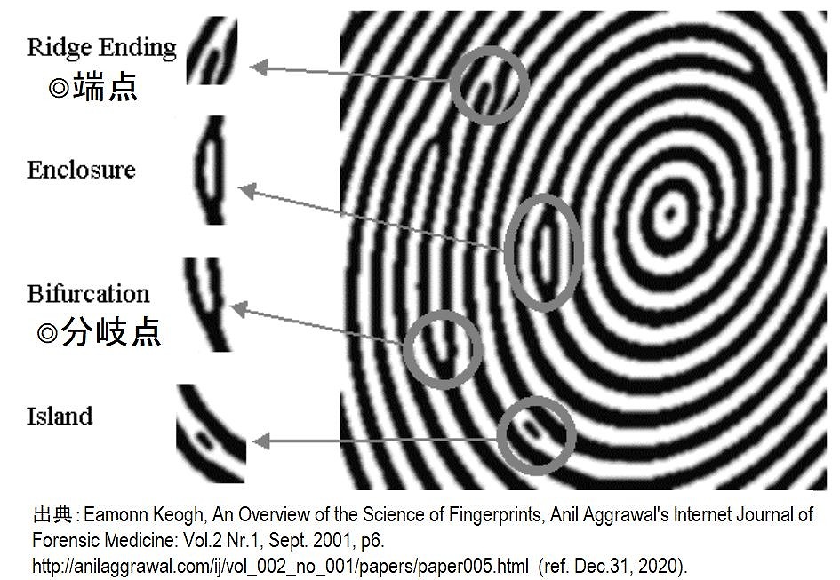 f:id:a-tomi:20210903210549j:plain
