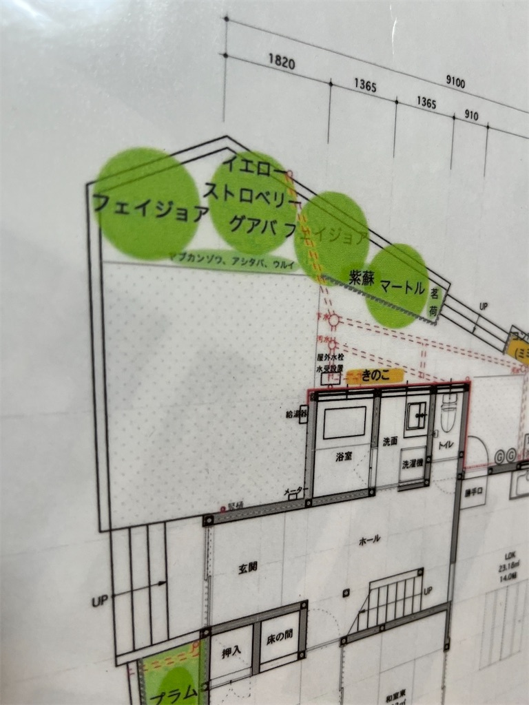 f:id:a-turn-project:20241201145026j:image f:id:a-turn-project:20241201145026j:image