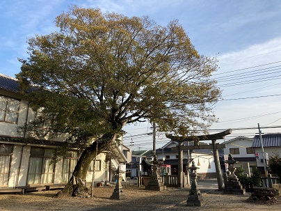 f:id:a-wi:20201116165531j:plain