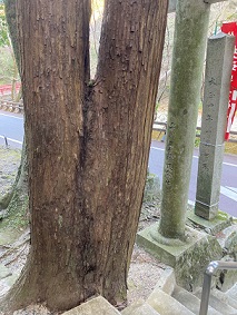 f:id:a-wi:20201215224342j:plain