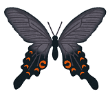 f:id:a-wi:20210831203225p:plain