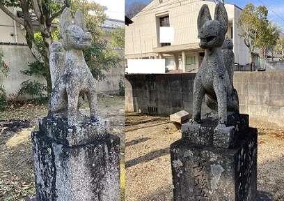 f:id:a-wi:20220131014042j:plain