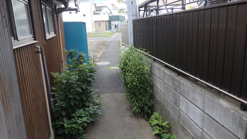 f:id:a01_sumi03:20181208123202j:plain
