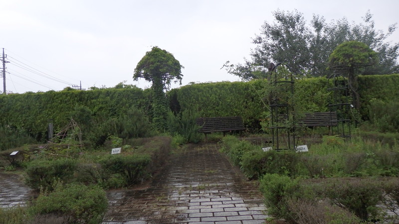 f:id:a01_sumi03:20181209204242j:plain