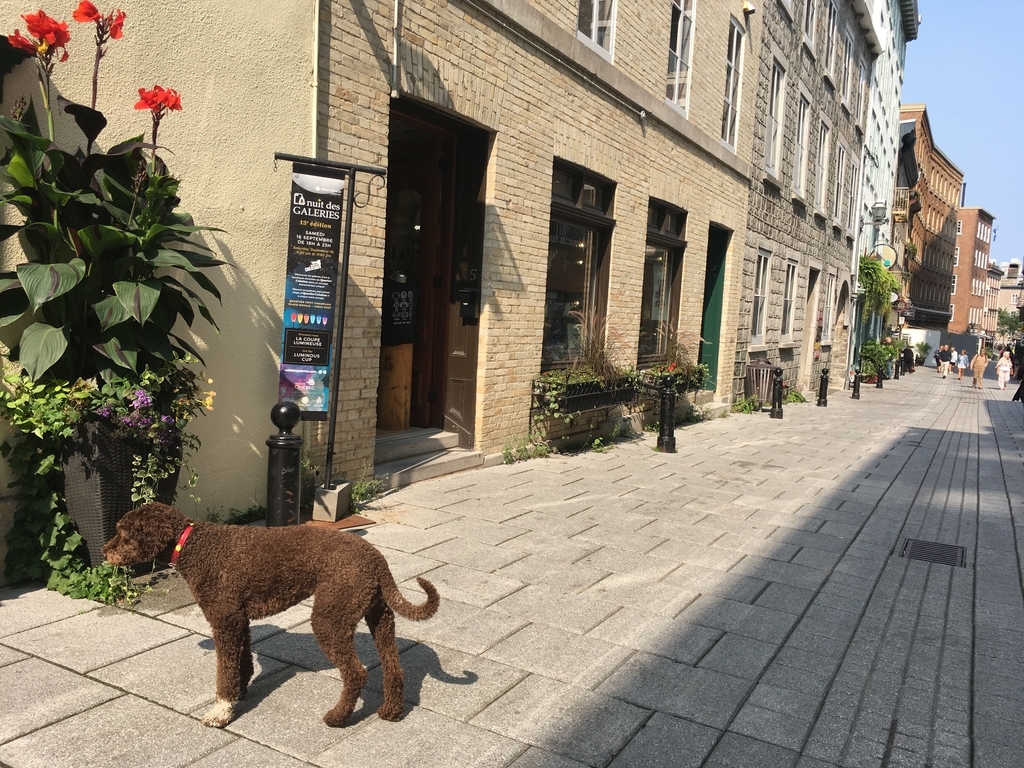 f:id:a06032064:20181003222645j:plain f:id:a06032064:20181003222645j:plain