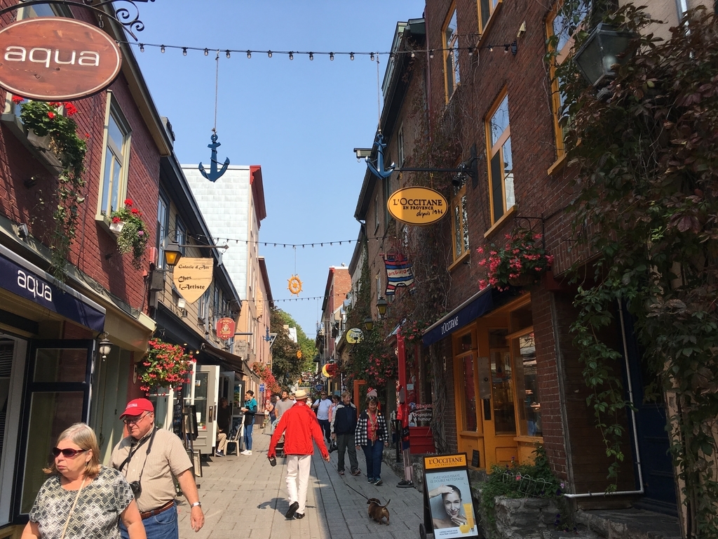 f:id:a06032064:20181003232719j:plain f:id:a06032064:20181003232719j:plain