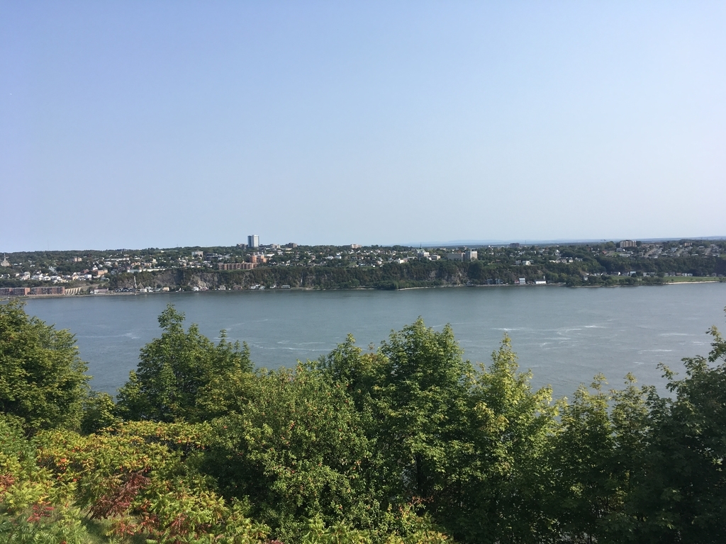 f:id:a06032064:20181003232957j:plain f:id:a06032064:20181003232957j:plain