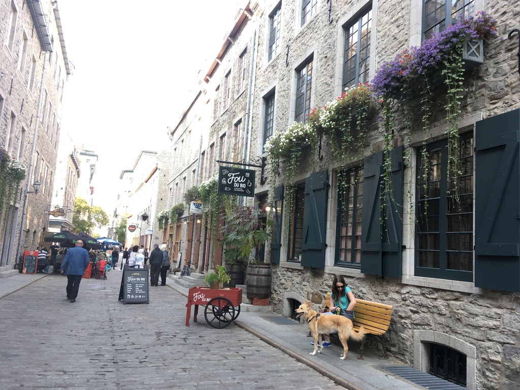 f:id:a06032064:20181003233052j:plain f:id:a06032064:20181003233052j:plain