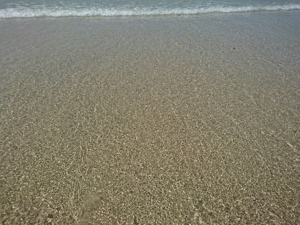f:id:a06032064:20181024120347j:plain