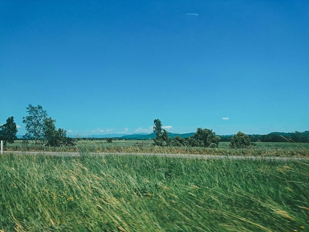 f:id:a06032064:20181024123544j:plain