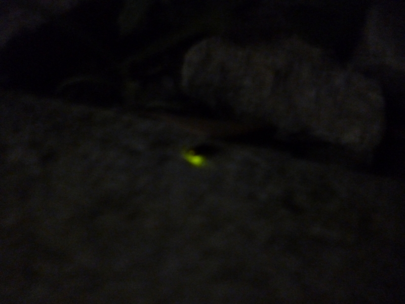 f:id:a0h9i0r3u:20130504221402j:plain