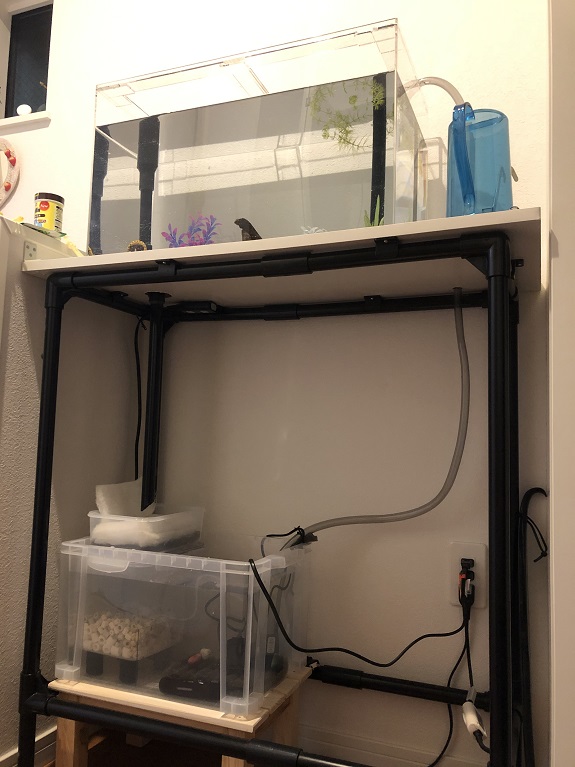 f:id:a0k1n12357:20210220004737j:plain