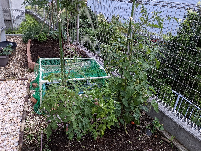 f:id:a0k1n12357:20210704012049j:plain