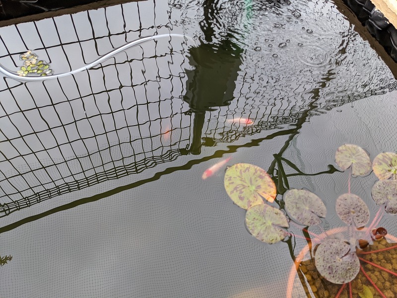 f:id:a0k1n12357:20210904223748j:plain