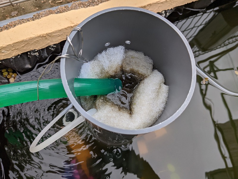 f:id:a0k1n12357:20210904230035j:plain