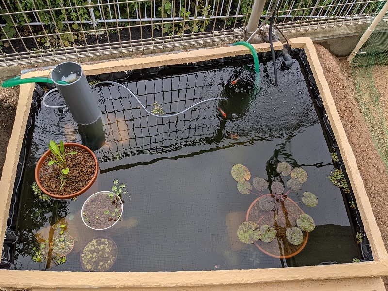 f:id:a0k1n12357:20210904230446j:plain