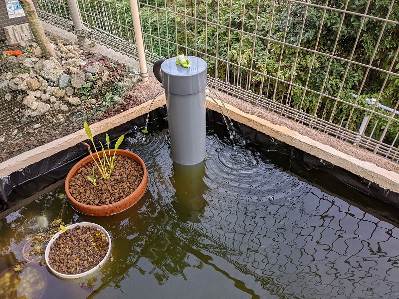 庭池DIY（2021年10月下旬の様子）