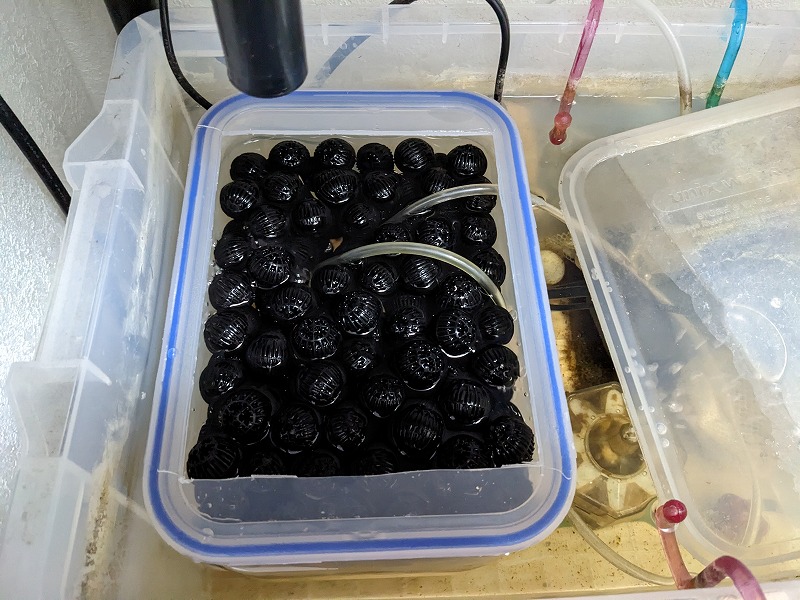 オーバーフロー水槽 自作 濾過槽 フィルターBOX 改造