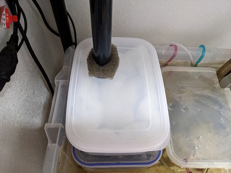 オーバーフロー水槽 自作 濾過槽 フィルターBOX 改造