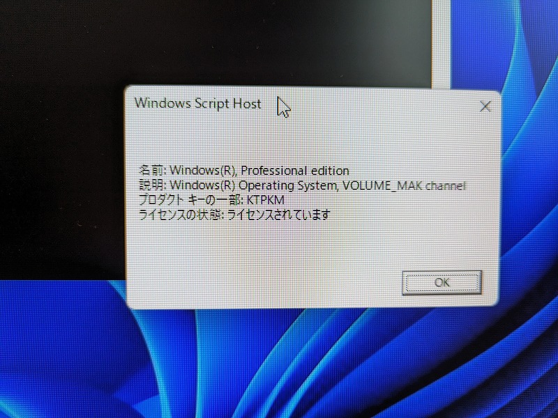 Beelink　ミニPC　ボリュームライセンス