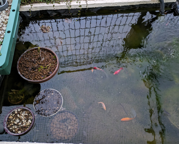 はてなブログ クリップボードの画像を貼り付け