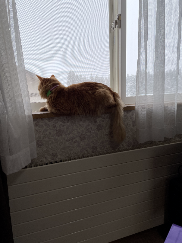 f:id:a1026302:20220306140046p:plain