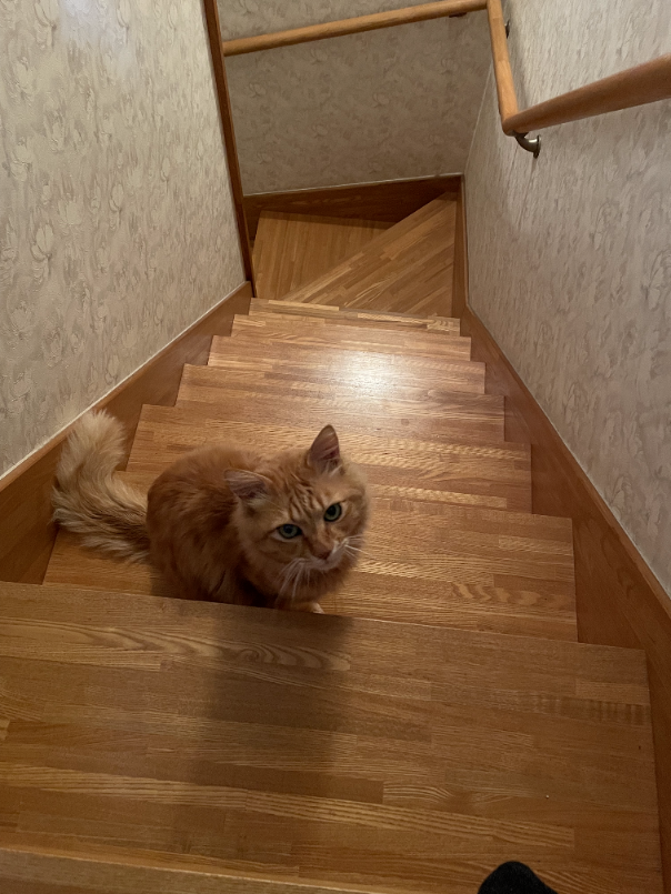 f:id:a1026302:20220306140122p:plain