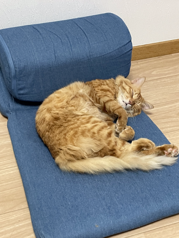 f:id:a1026302:20220306141547p:plain