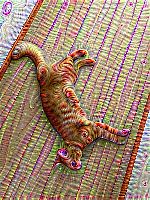 f:id:a1026302:20220306143651j:plain