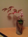f:id:a1093354:20121124181047j:image:medium:left