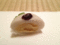 f:id:a1093354:20121124200336j:image:small:left