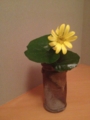 f:id:a1093354:20121208175322j:image:medium:left f:id:a1093354:20121208175322j:image:medium:left
