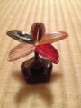 f:id:a1093354:20130105213245j:image:medium:left