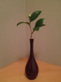f:id:a1093354:20130210173625j:image:medium:left