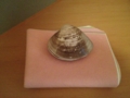 f:id:a1093354:20130210173653j:image:medium:left