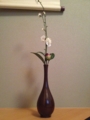 f:id:a1093354:20130216171852j:image:medium:left