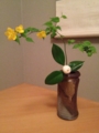 f:id:a1093354:20130330171619j:image:medium:left