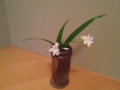 f:id:a1093354:20130406152410j:image:medium:left