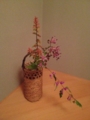 f:id:a1093354:20131019202529j:image:medium