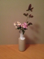 f:id:a1093354:20131102174143j:image:medium:left