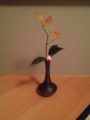f:id:a1093354:20131116173707j:image:medium:left