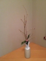 f:id:a1093354:20140308174401j:image:medium:left