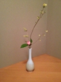 f:id:a1093354:20140329180632j:image:medium:left