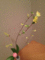 f:id:a1093354:20140329180702j:image:small:left