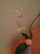 f:id:a1093354:20140329180710j:image:small:left