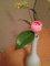 f:id:a1093354:20140329201205j:image:small:left