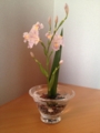 f:id:a1093354:20140426172328j:image:medium:left